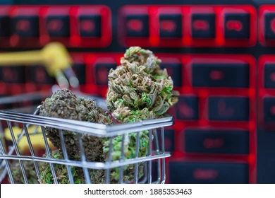 “Explore the World of Craft Weed and Buy Online in Canada”